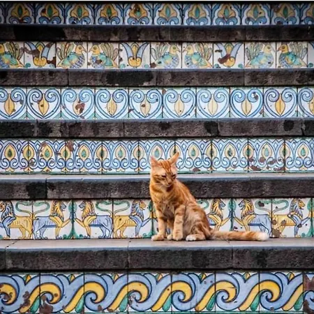 Apartamento Basilicò *